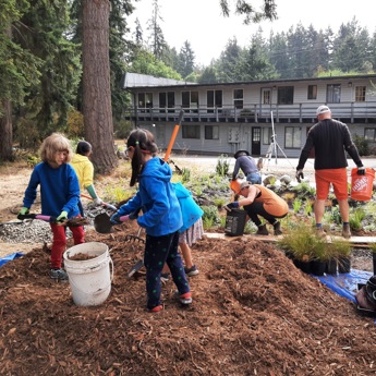 Rain Gardens