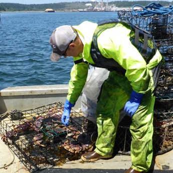Crabber Outreach & Derelict Gear Removal